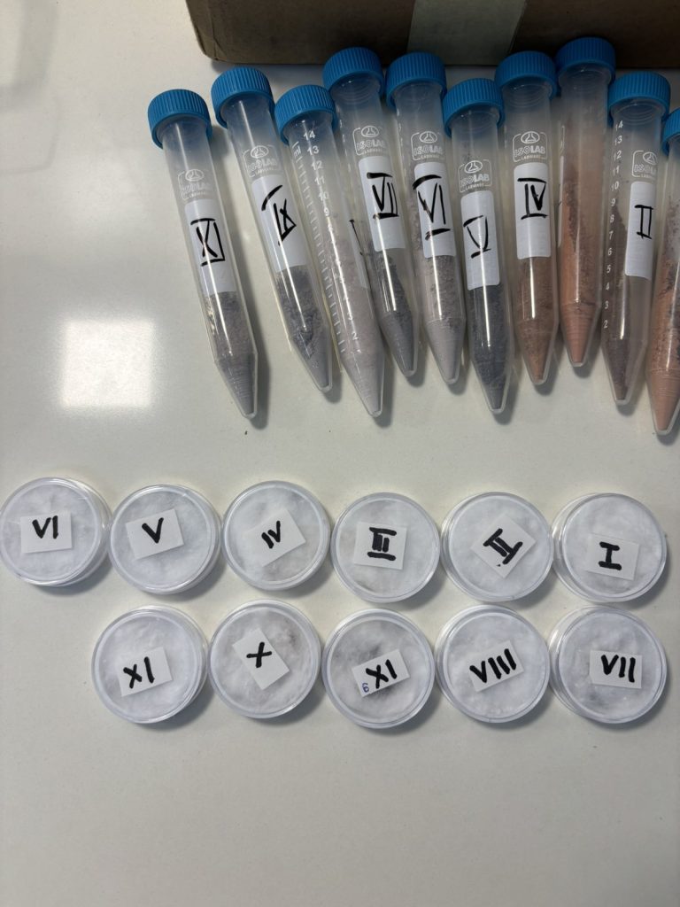 IMG-6ffdf9113aa6c19802b8db9e850f7722-V