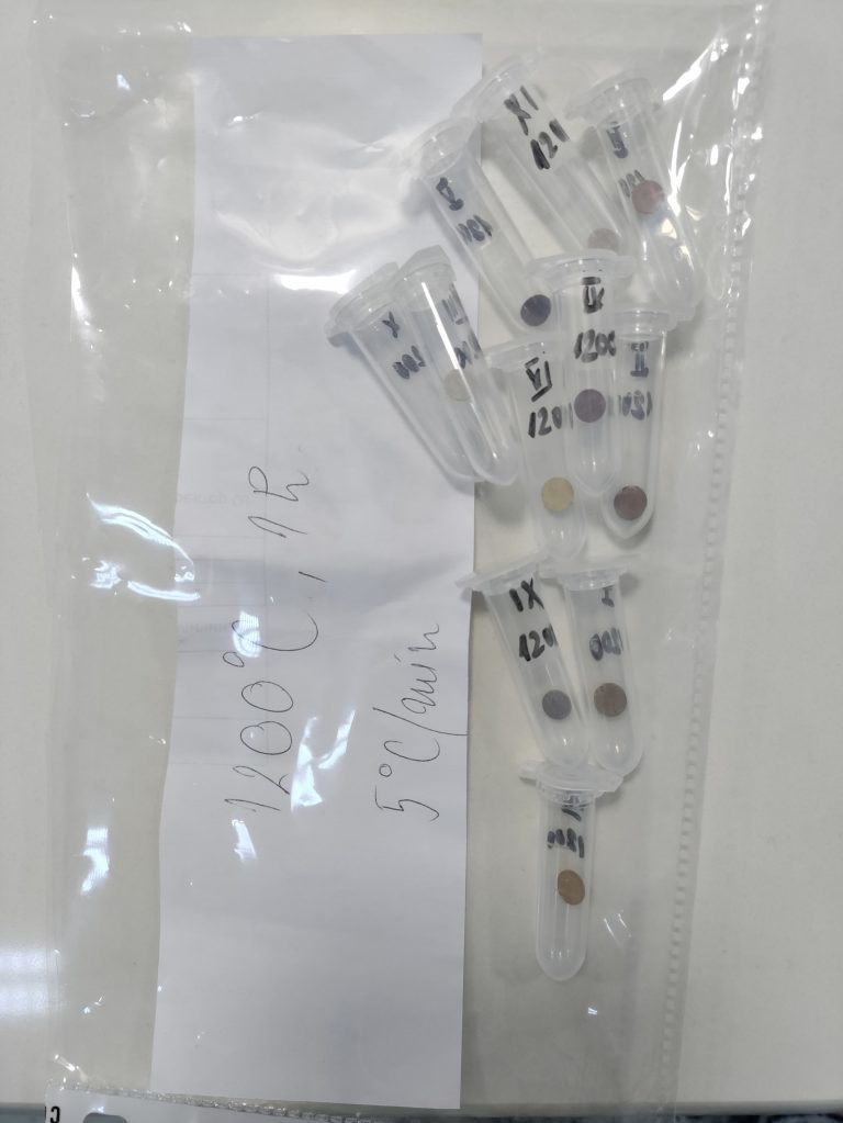 IMG_20250610_111455(1)